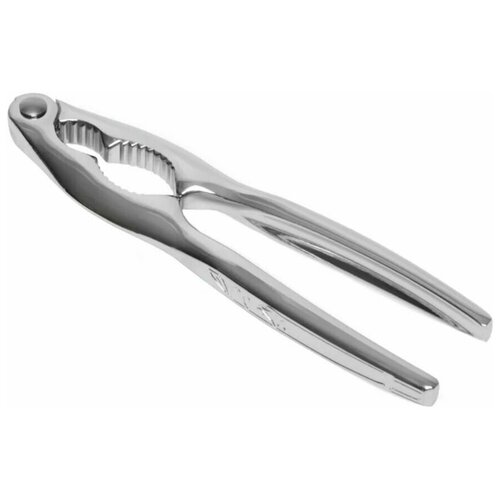 �������� Orion 1568�