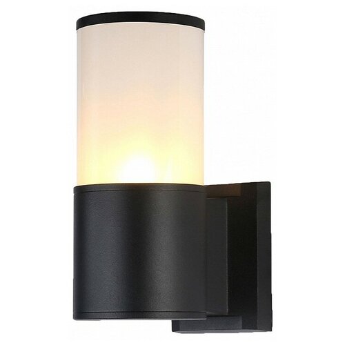 ������� ��������� ���������� Ambrella light Garden ST2451 . 1670�