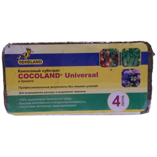   300 (4)  () COCOLAND Universal 295