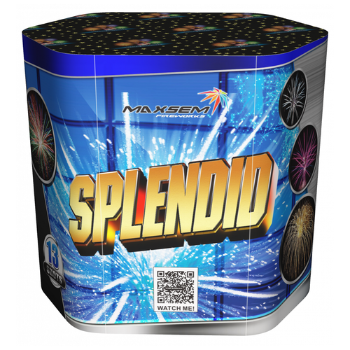  SB-13-01   / Splendid World (1,2