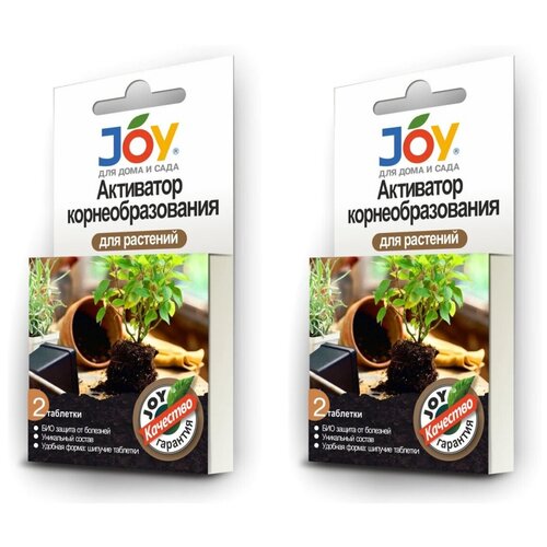 2 ������� JOY 