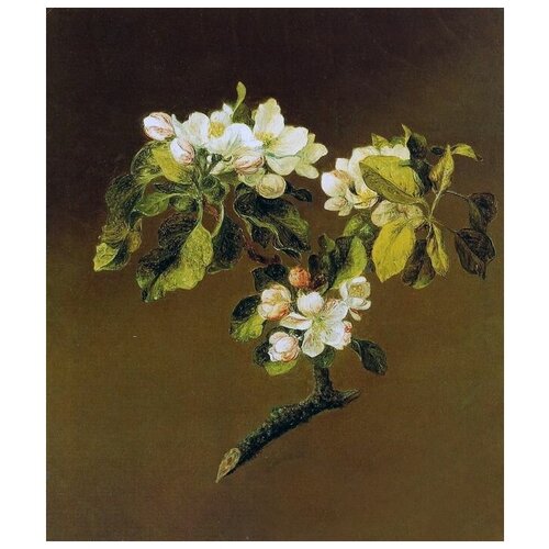      (Blooming apple)    40. x 47. 1640