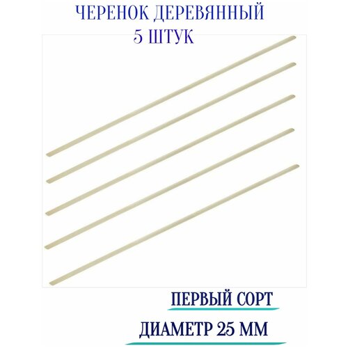 ������� ����������, ������ ����, ������� 25 �� (5 ��) - ���������� �� ����� �������� ���������, ��������� ���� �� �� ������ �������� �� ����� ������ 1370�
