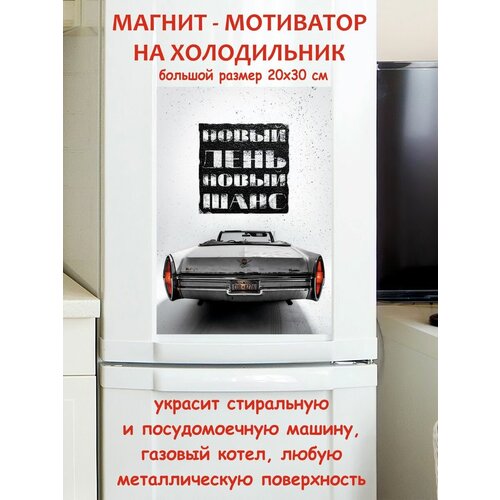 ����� ���� - ����� ���� ��������� ������ ������ �� ����������� 20 �� 30 �� 790�