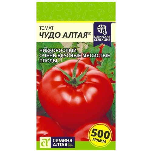 Семена Алтая томат Чудо Алтая, низкорослый томат 140р