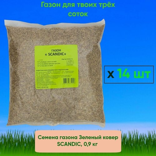 Семена газона Зеленый ковер SCANDIC, 0,9 кг x 14 шт (3 сотки) 5880р