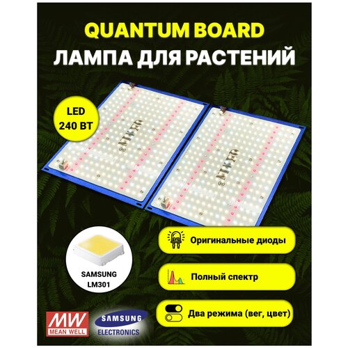   /   / quantum board/  / 240 / Mean Well/  Samsung LM-301, 288*2 . 5000,UV, IR 13650