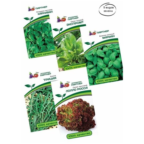 Семена зелени: салат экспромт,базилик мариан,салат лолло росса ,руколла триция ,петрушка карнавал 699р