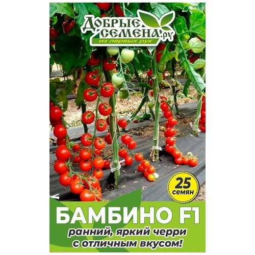 Семена томата Бамбино F1 - 25 шт - Добрые Семена.ру 468р