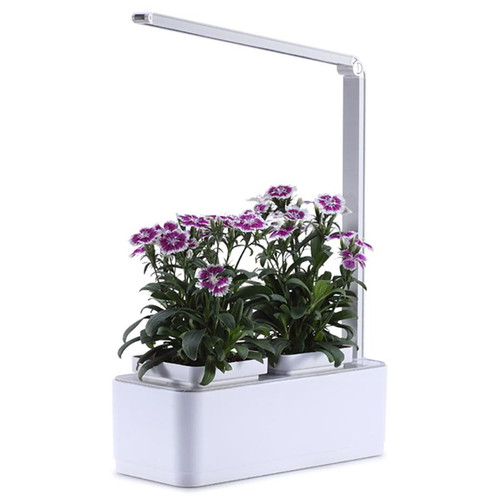 ����������� ��������� HobbyFarm Mini, �������� ����� ����� ���, � ���������� 5000�