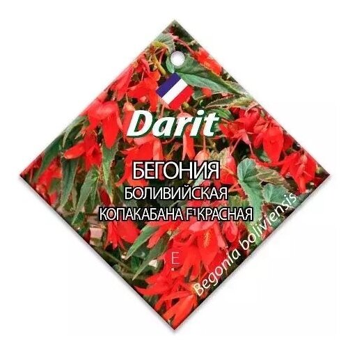   Darit    F1   7  .,  193  Darit