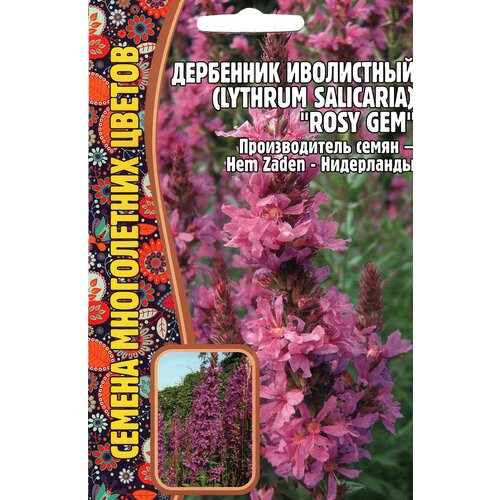 Дербенник Иволистный / Lythrum salicaria ROSY GEM, многолетник ( 1 уп: 0,05 г ) 175р