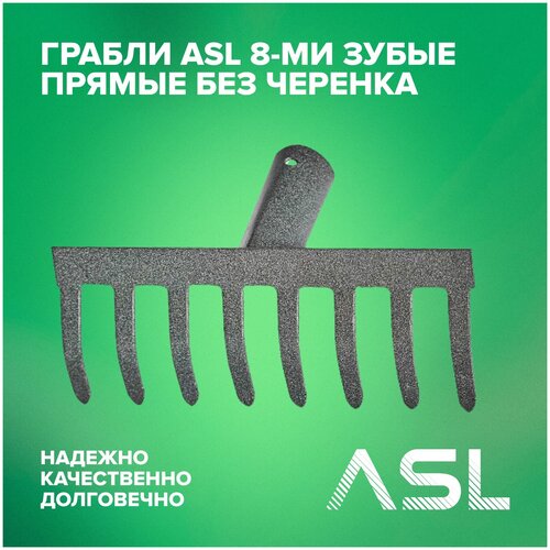  ASL 8-     301