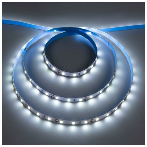    Ecola PRO 5 , IP20, SMD2550, 60 LED/, 19 /, 12 , 6000,  624  Ecola