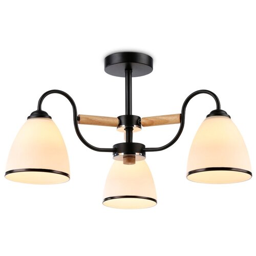    Ambrella Light Modern TR3033241 4848