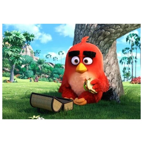      (Angry Birds) 5 43. x 30. 1290