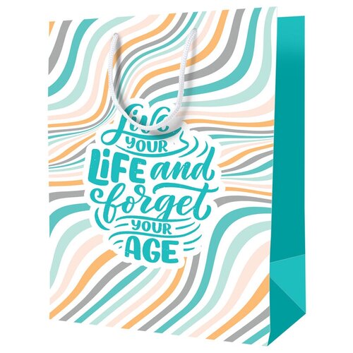 ����� ���������� 18*23*10�� ArtSpace 