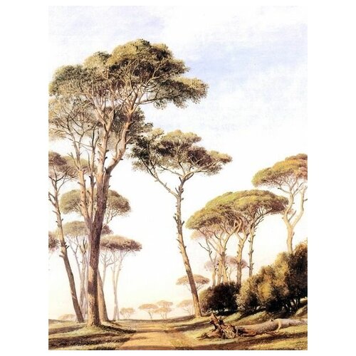       (Rome Stone Pines)    30. x 40. 1220