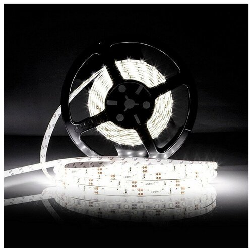   SMD3528-120LED-IP65 12  5. -  : 5500-6000K 2600