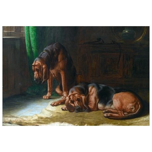      (Two dogs) 3 74. x 50. 2650