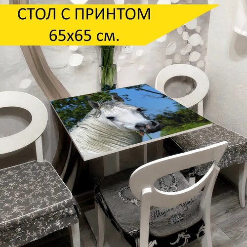 ���� 
