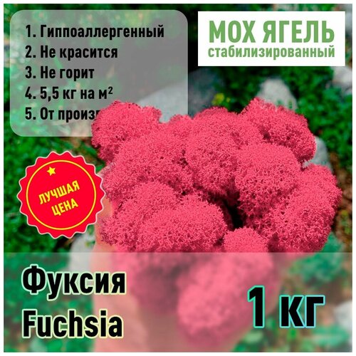    , Russian Moss, , 1 ,  1999  Russian Moss