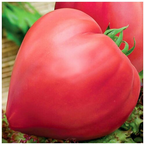 Семена томата Бычье сердце 0,05 г / 1 упаковка / Семена помидоров 159р
