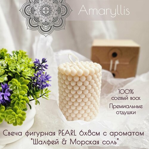    Pearl      /200 .,  675  amaryllis candles