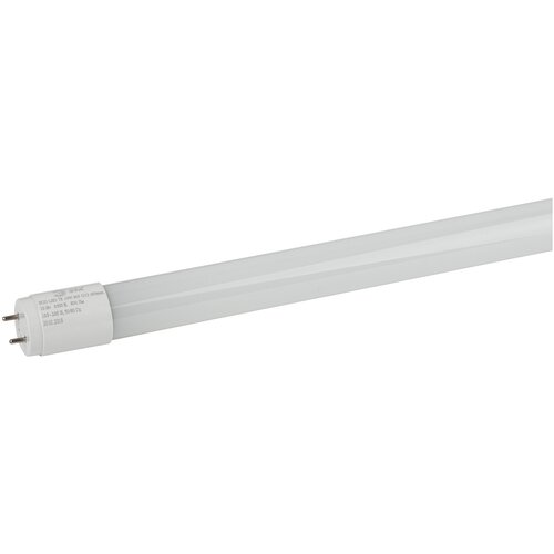  LED T8-10W-865-G13-600mm  (, ,10,,. G13) (25/1225) 256