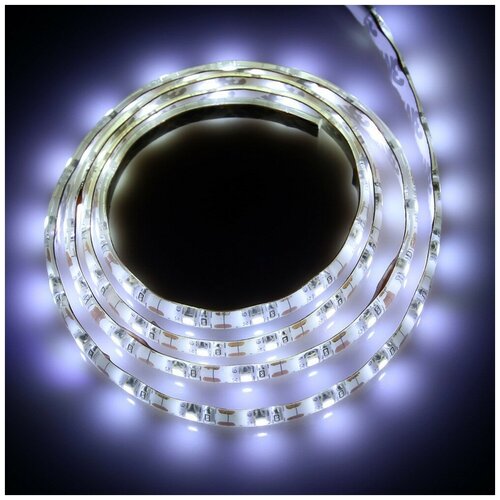   2835, 60LED, IP65, 3500K, 12 -  :  6000 2100