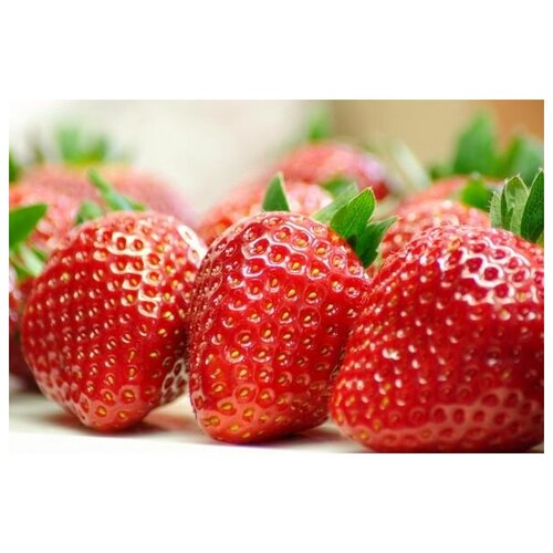     (Strawberry) 4 45. x 30. 1340