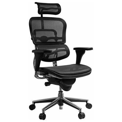   Comfort Seating Ergohuman Standart  68500