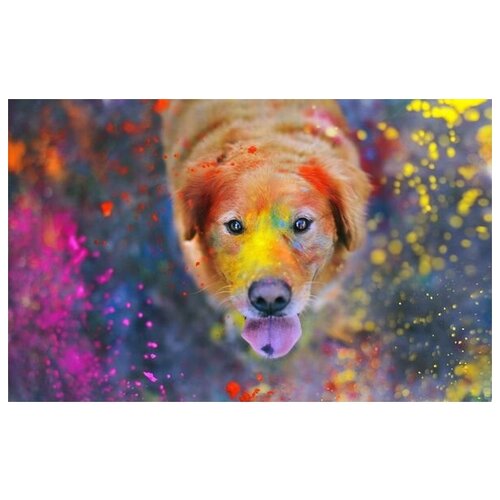       (Dog in the paint) 64. x 40. 2060