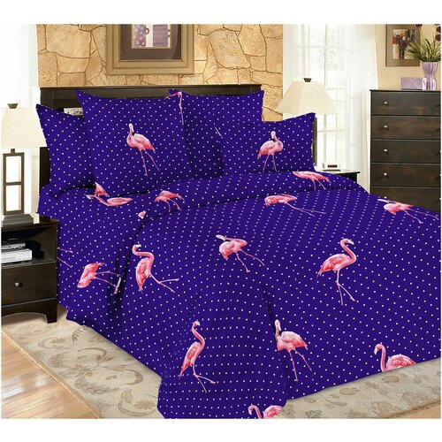   Amore Mio   Flamingo,  , , -, ,    1537