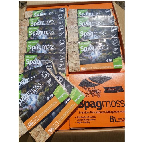    Spagmoss () 8 ,   , , ,    1199