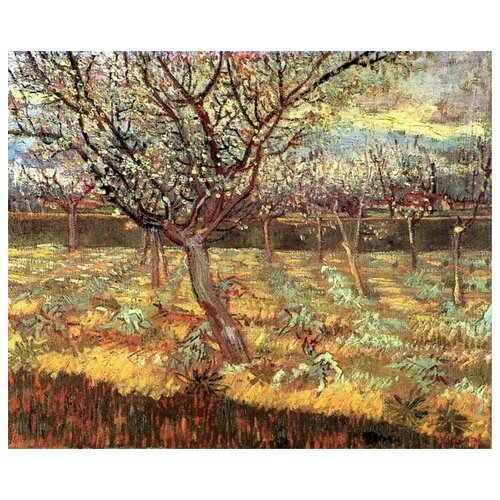        (Apricot Trees in Blossom)    49. x 40. 1700
