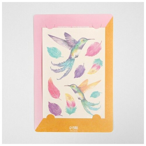��������-���� Colibri, 14 x 21 �� 172�