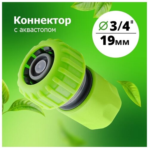 ��������� 3/4 � ���������� '��������� �����' (YM5820) 213�
