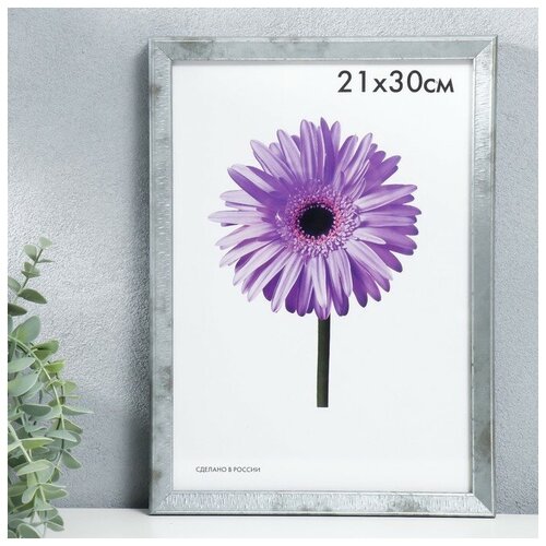 Friendstyle ��������� ������� Viola 21�30 �� ������-����� 540�