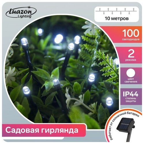   10 , IP44,  , 100 LED,  , 2 ,   980