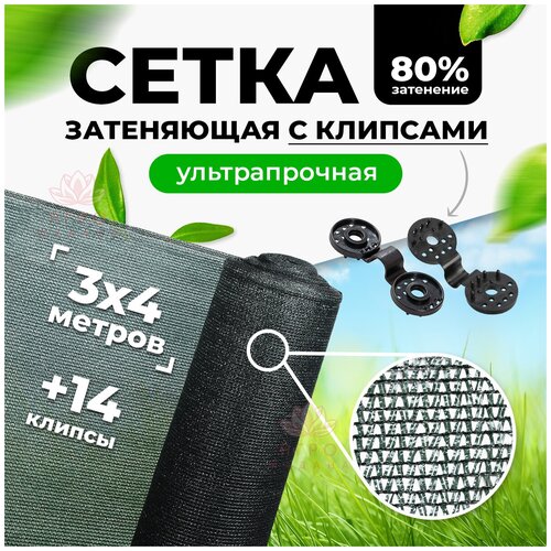 ����� ���������� 80% 3�4� ( ���������� ) / ����� �� ���� / ����� ������� �������� ��� ������ ������ / ����� �� ������ 1318�