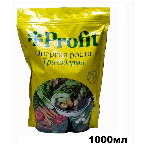 Profit ���������� 1000�� ������� ����� 1196�