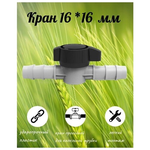 ���� 16 *16 �� 55�