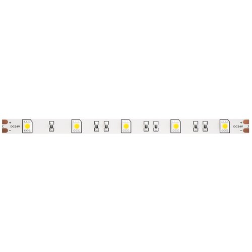   Led Strip 10167 2450