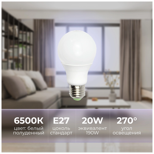   LED 20W 6000-6500K E27 249