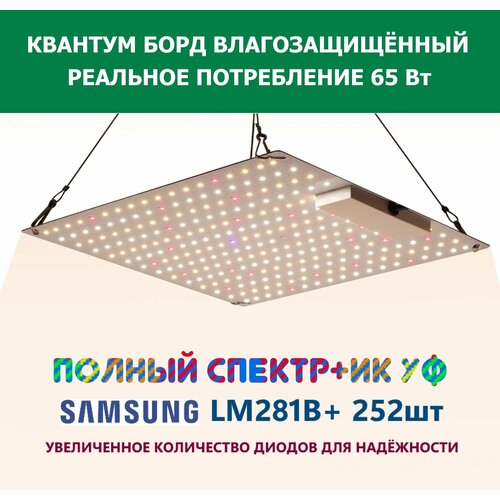     65 ,  CG 650L,    , - quantum board  Samsung LM281b+, 252 . 5000, 395-730.,  3190  CityGreen