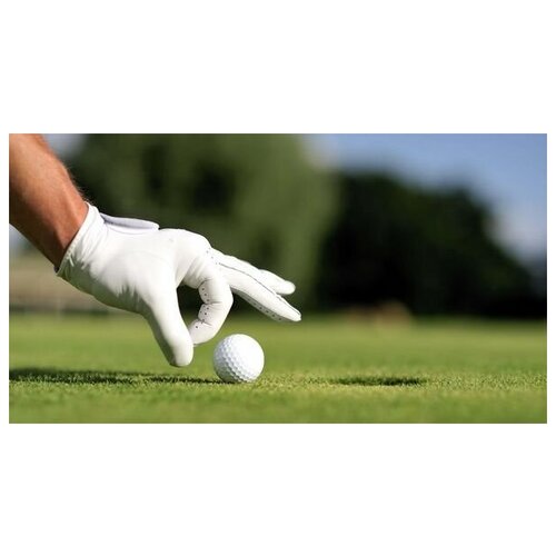 ������ �� ������ ����� (Golf) �1 74��. x 40��. 2310�