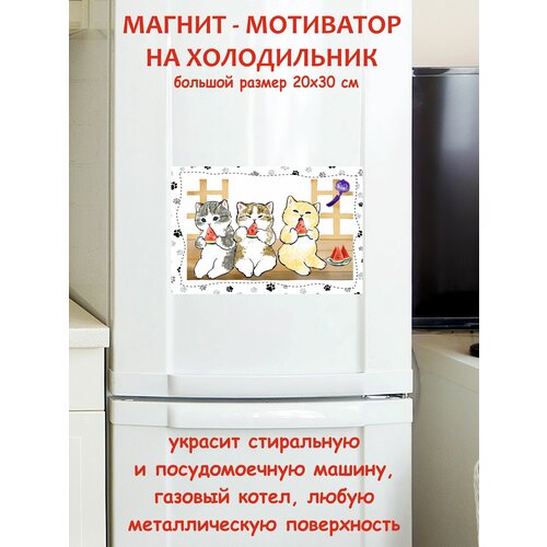������ ���� ������ ������ �� ����������� 20 �� 30 �� 790�