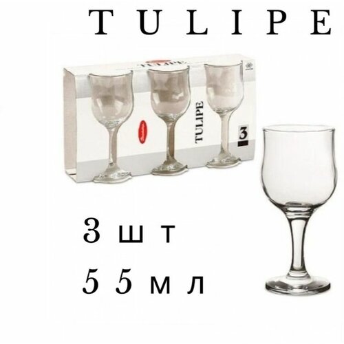 ����� ��� ����� ����� ������ 3�� Tulipe 60�� 550�