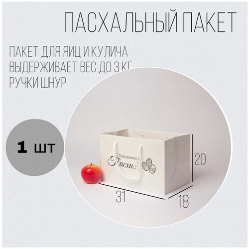 ����� 31x20x18 ����� ������� ����� � ���������� ����� ����� - 1��. 340�